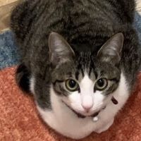 小さいな森 会員画像