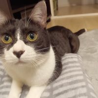 すぎやまなか 会員画像