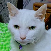 hiropen0323さん