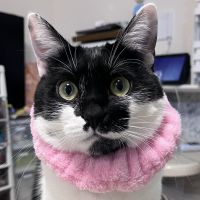 アッサム364さん