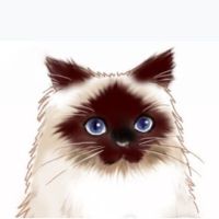 エミもふもふさん