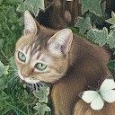 クロシロップさん