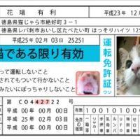 扇風機 会員画像