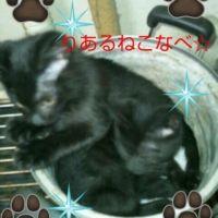 ょぅ 会員画像