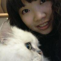 joy15 会員画像