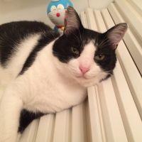 たら吉 会員画像