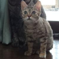 miyaちゃん 会員画像