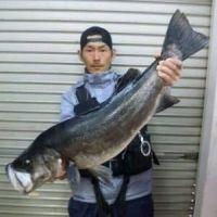 マグロ屋かつん
