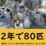 ウシシマ