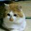 ユーザ画像