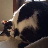 りかチャン 会員画像