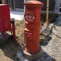 ネコデラックス 会員画像