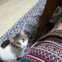 とっきーい 会員画像