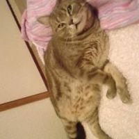 はるうう 会員画像