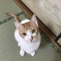 あんりんごめろん 会員画像