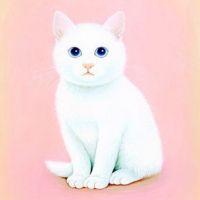 会員画像