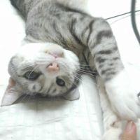 pooo 会員画像