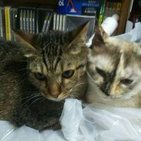 るい1367 会員画像