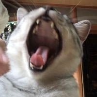 あやpon 会員画像