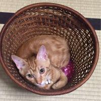 Reim 会員画像