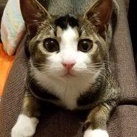 カンロ 会員画像
