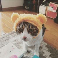 いつきっく 会員画像