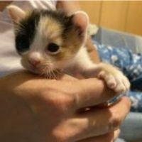 めんごろう 会員画像