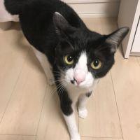 シーマちゃん 会員画像