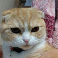 会員画像