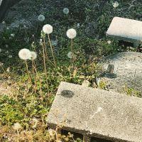 まめん 会員画像