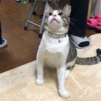 sai73 会員画像