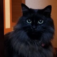 ジュンリン 会員画像