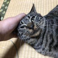 会員画像