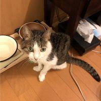 会員画像