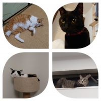 そうもも 会員画像
