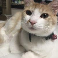 会員画像