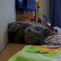 じーん 会員画像