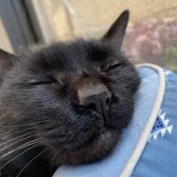 会員画像