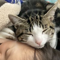 会員画像