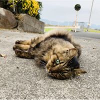 霧島ハヤさん