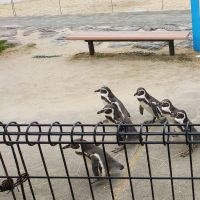 ジュタコサン 会員画像