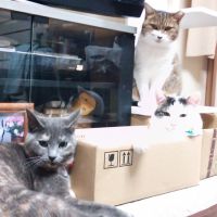 ナナ0222 会員画像