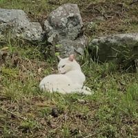 ナミナミ27 会員画像