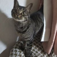 中島猫次郎さん