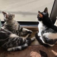 りおもも 会員画像