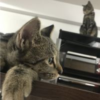 会員画像