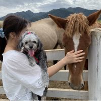 ニャン探検隊 会員画像
