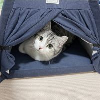 もふもふねこさん 会員画像