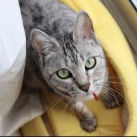 きなこともなか 会員画像