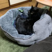 ドローン 会員画像